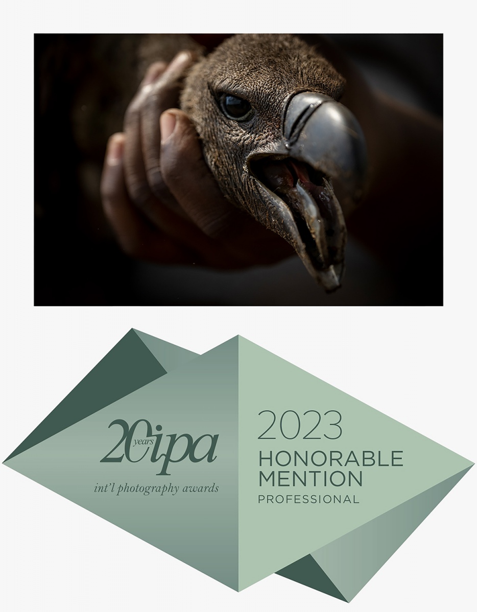 Honourable Mention International Photography Awards IPA 2023
