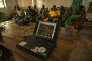 vulture conservation, training against vulture poisoning, vultures decline, endangered species