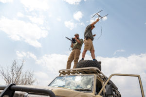 science for conservation, new strategies to protect wildlife, evolutionary intelligence, artificial intelligence